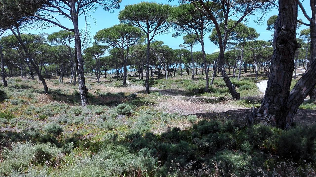 הוילה אלדיה דו מקו Casa Rio Da Prata מראה חיצוני תמונה