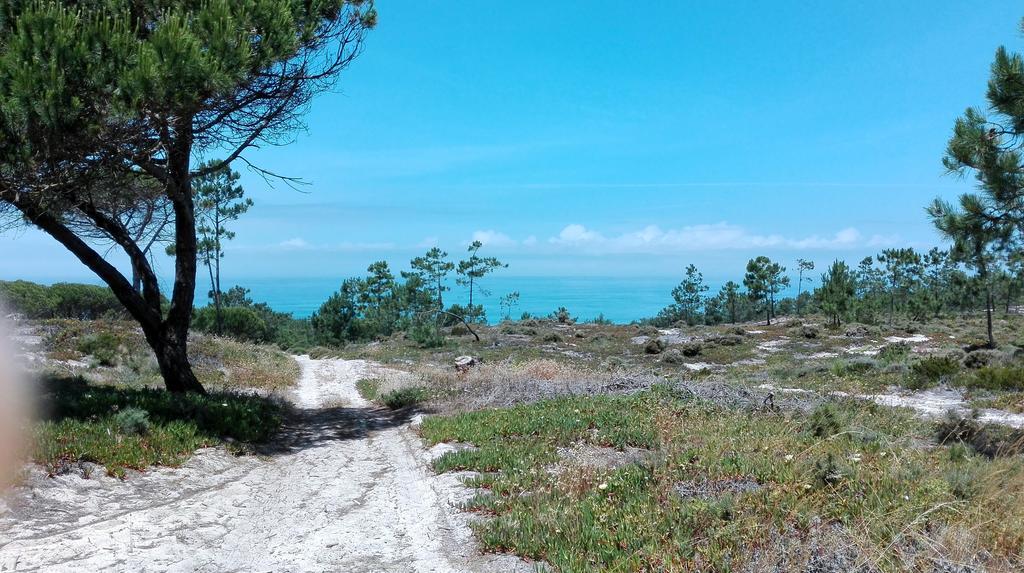 הוילה אלדיה דו מקו Casa Rio Da Prata מראה חיצוני תמונה