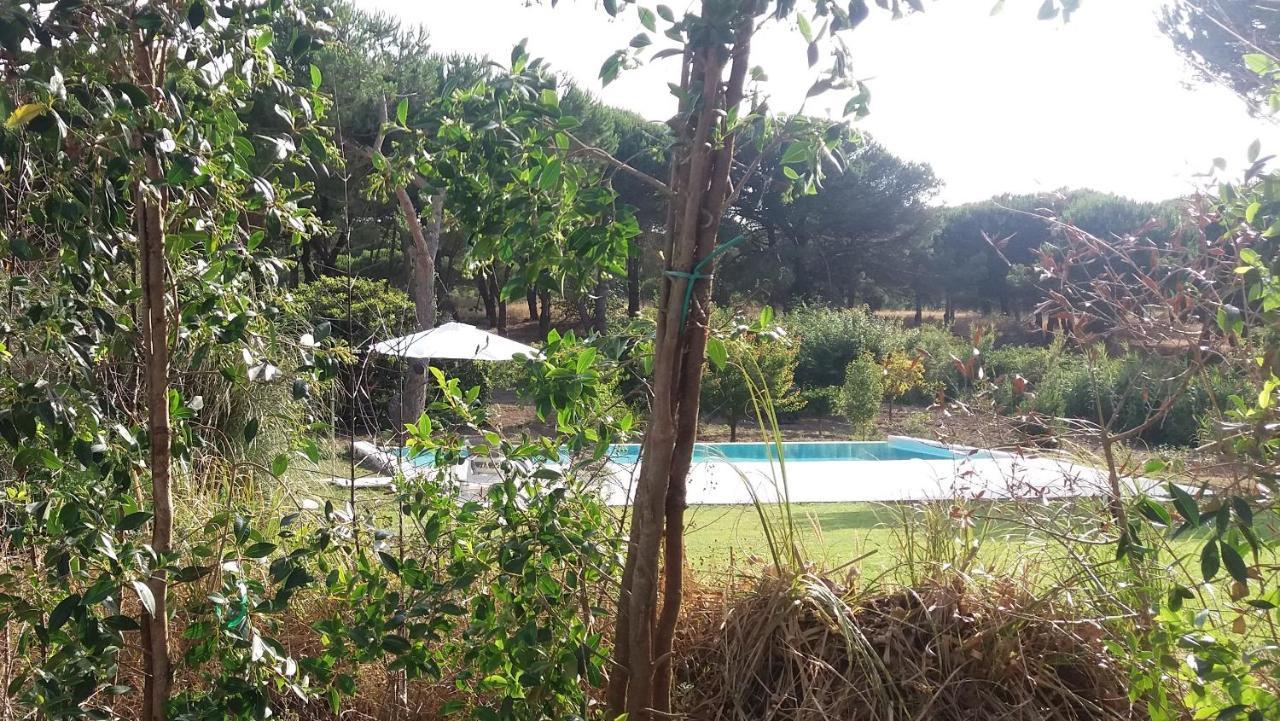 הוילה אלדיה דו מקו Casa Rio Da Prata מראה חיצוני תמונה